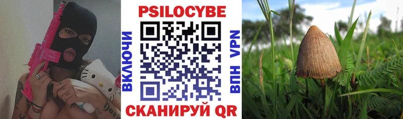 купить наркоту Невьянск Галлюциногенные грибы ЛСД